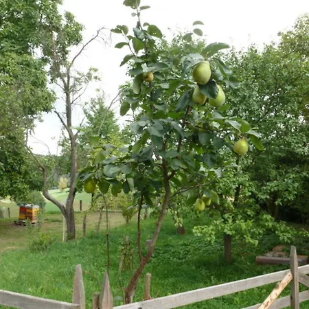 Holiday home Kleine Glueck *