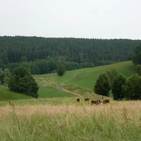 Kleine Glueck Rosendorf