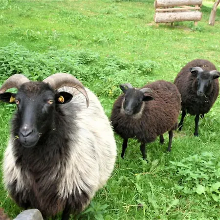 Holiday home Kleine Glueck Rosendorf