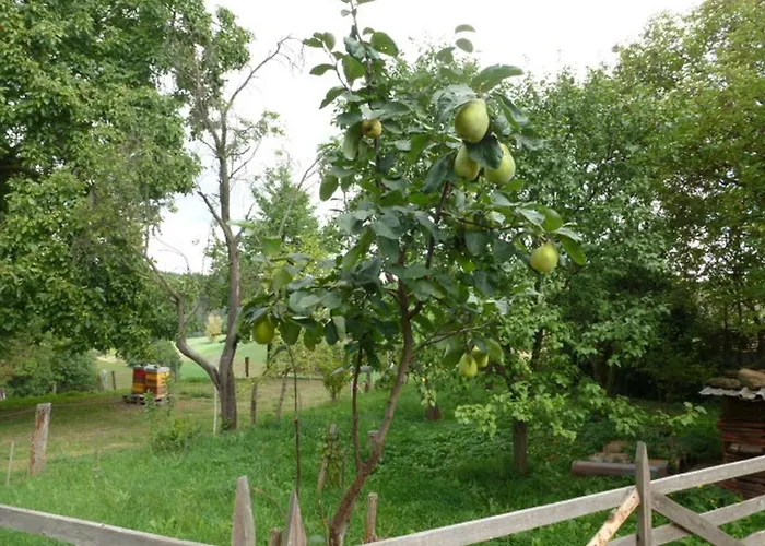 Nyaraló Kleine Glueck *