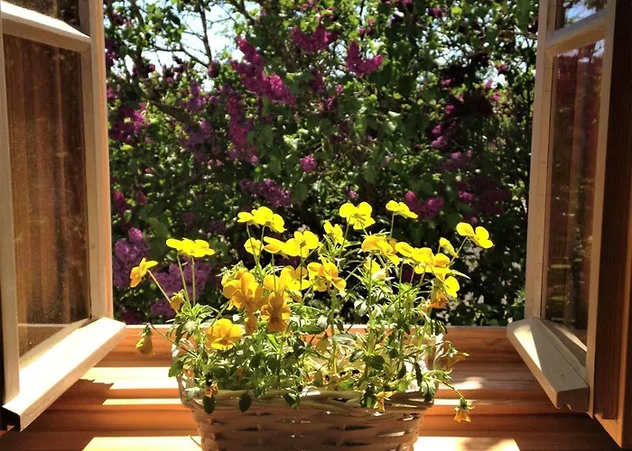 Kleine Glueck * Rosendorf