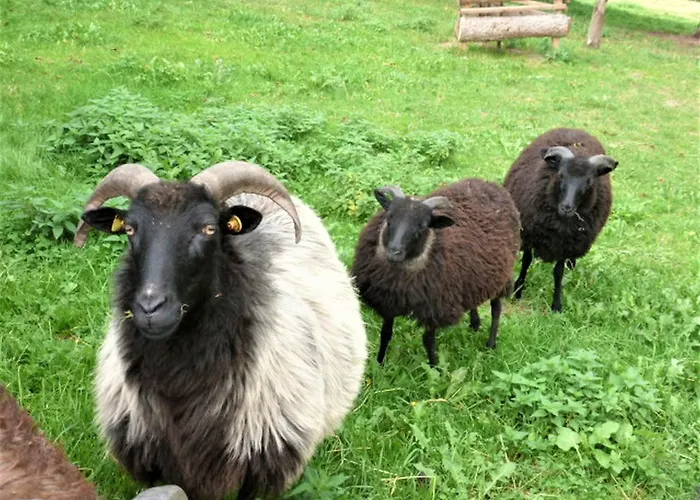 Nyaraló Kleine Glueck Rosendorf