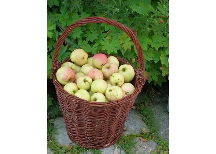 Kleine Glueck * Rosendorf